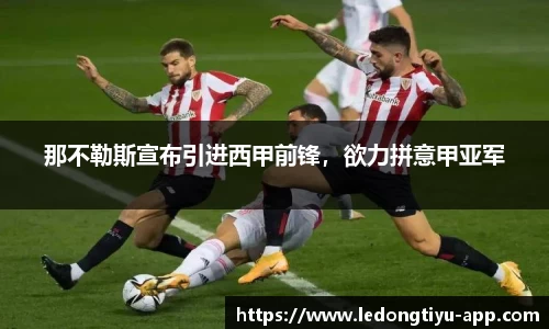 LD乐动体育平台