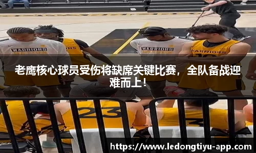 LD乐动体育官网