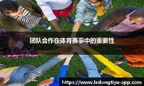 LD乐动体育app
