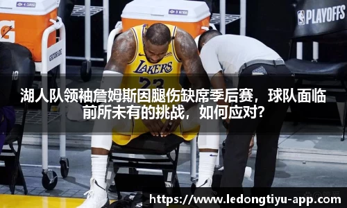 LD乐动体育