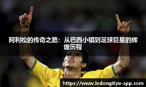 LD乐动体育平台